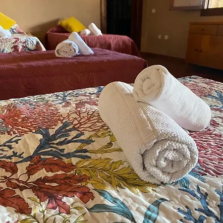 Finca Rural En Arico By Paramount Holidays